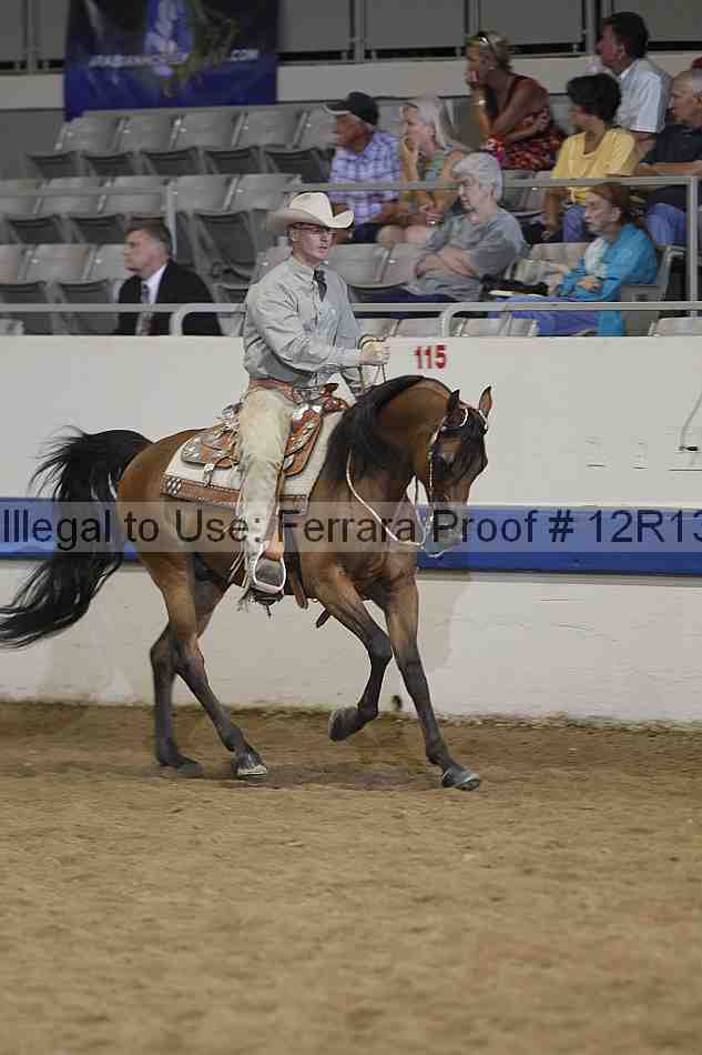 Proof 12r13_4331