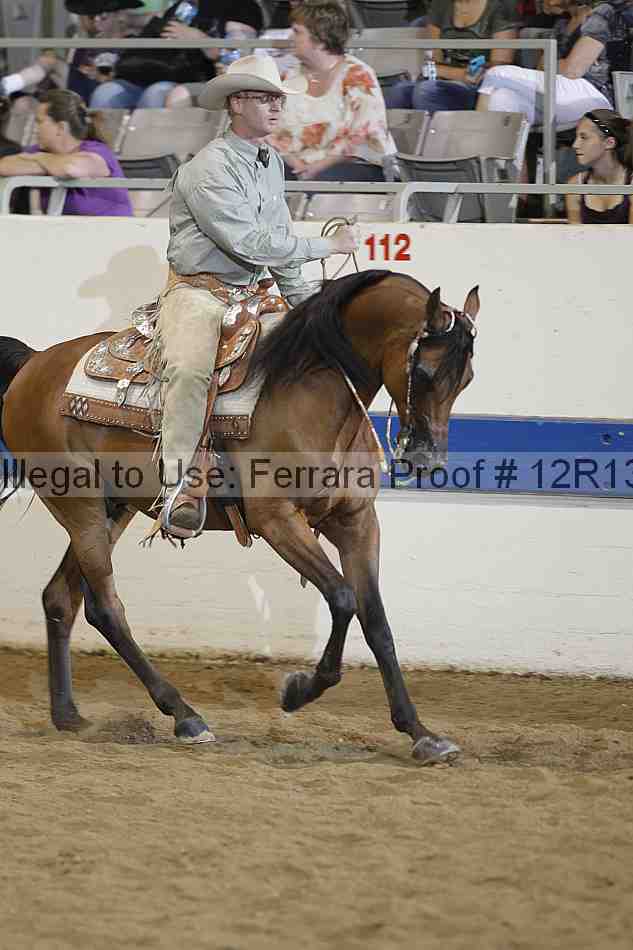 Proof 12r13_4333