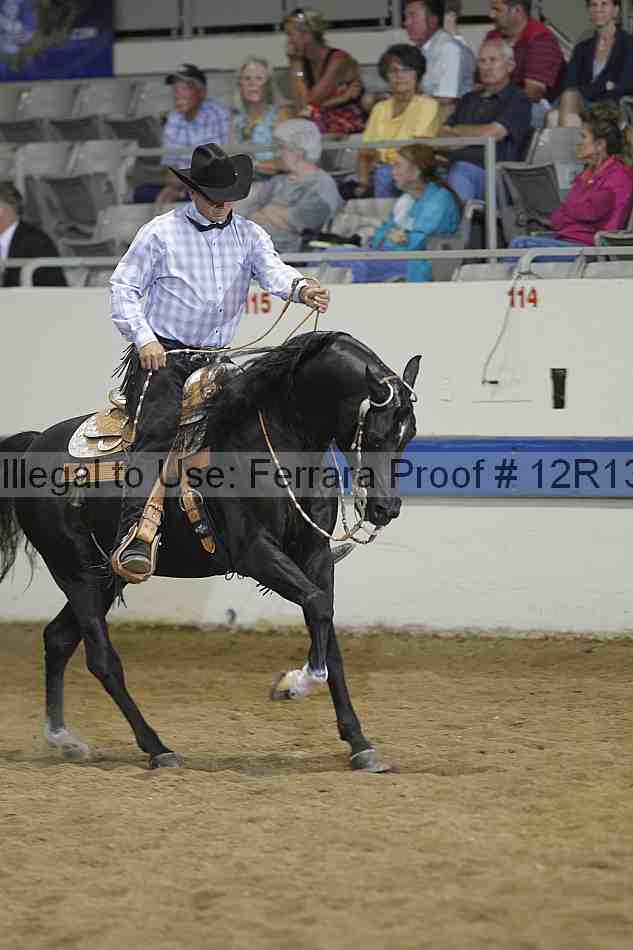 Proof 12r13_4335