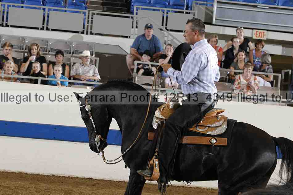 Proof 12r13_4349