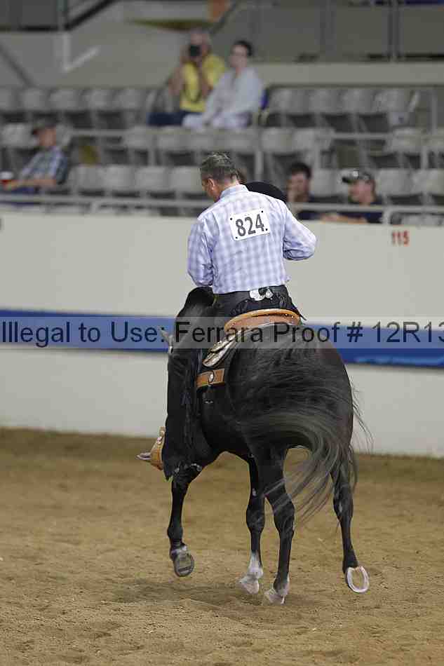 Proof 12r13_4352