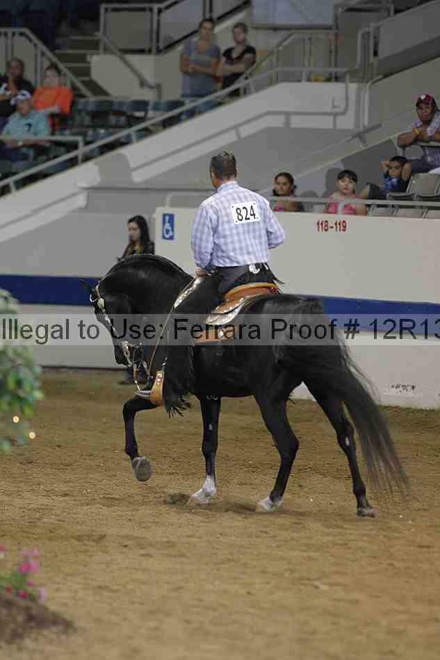 Proof 12r13_4354