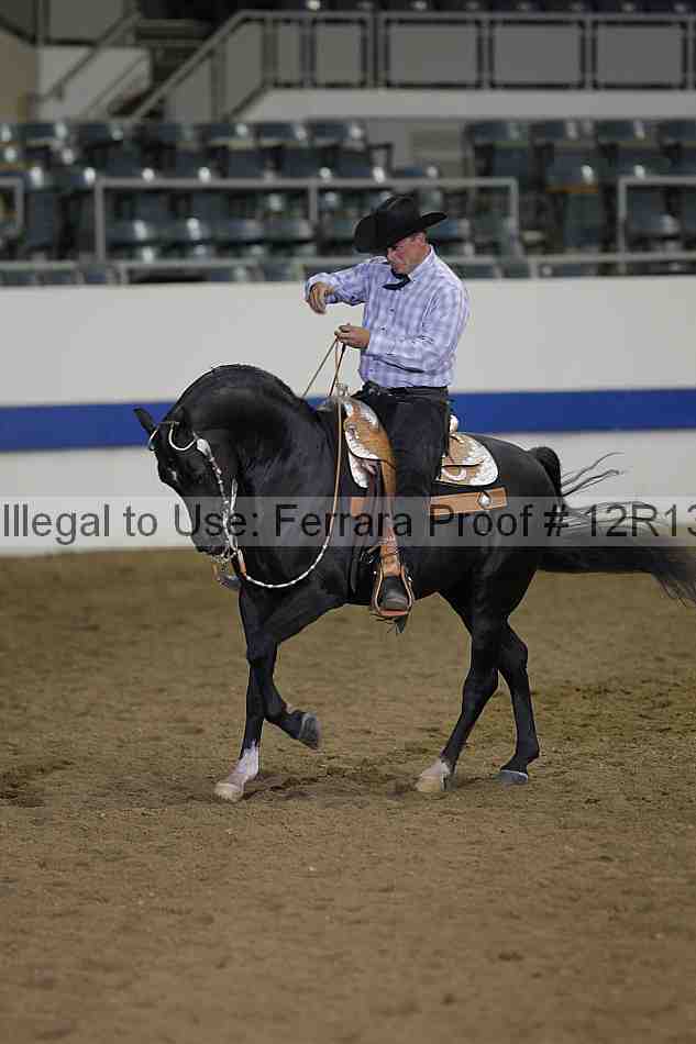 Proof 12r13_4356