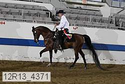 12r13_4371 proof