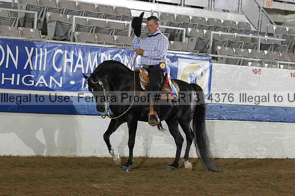 Proof 12r13_4376