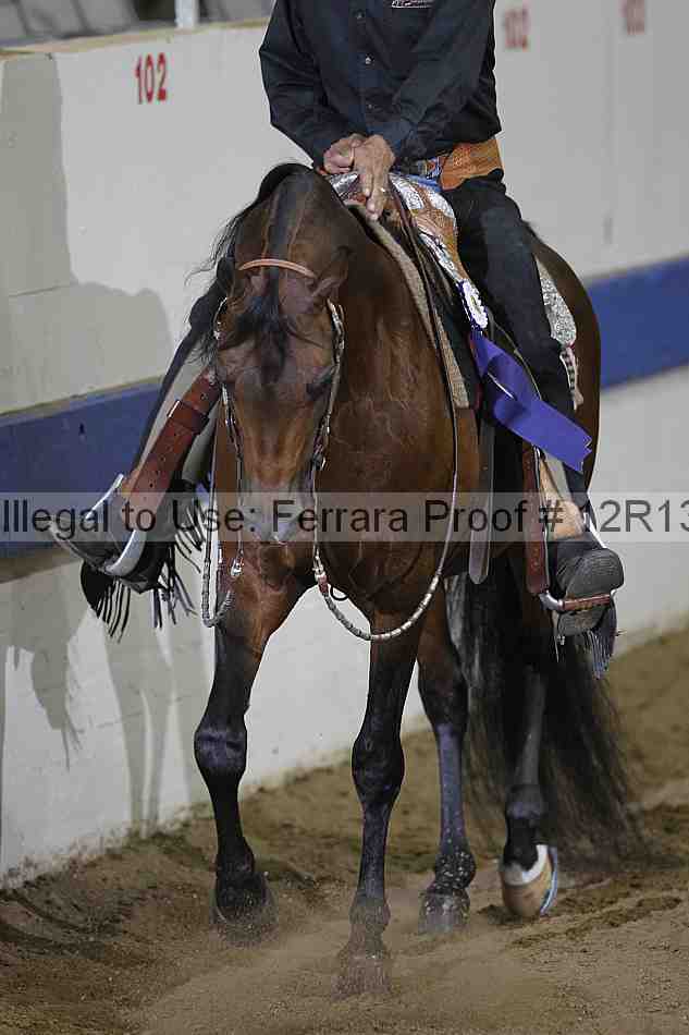 Proof 12r13_4377
