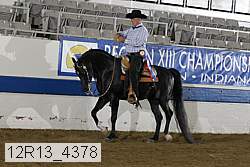 12r13_4378 proof