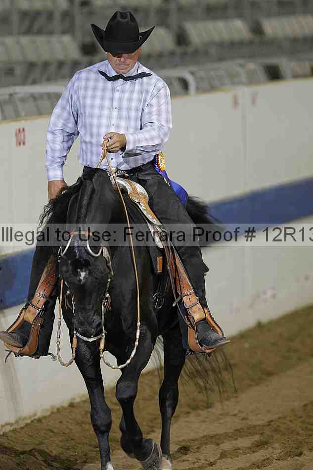 Proof 12r13_4385