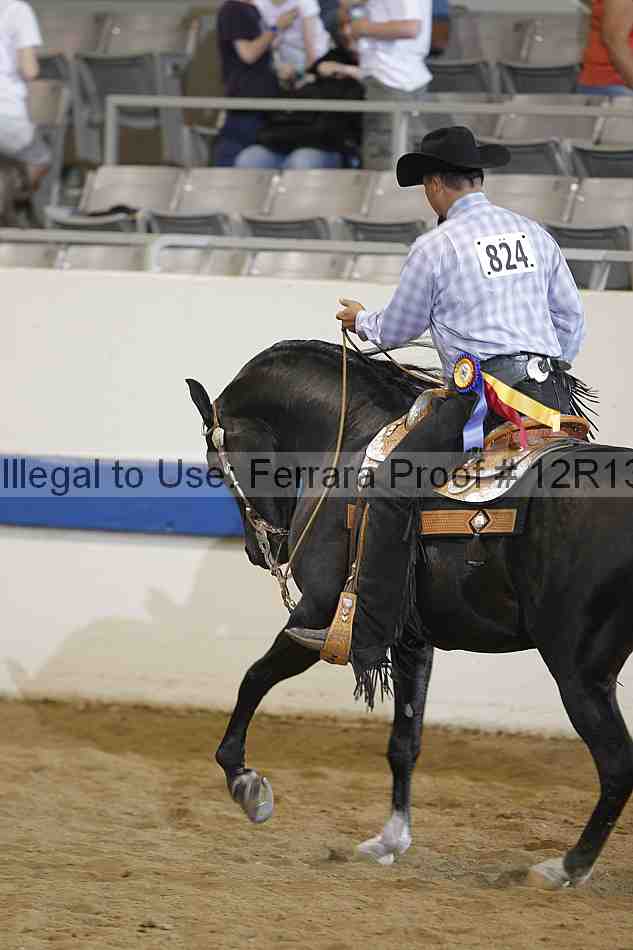 Proof 12r13_4388