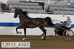 12r13_4393 proof