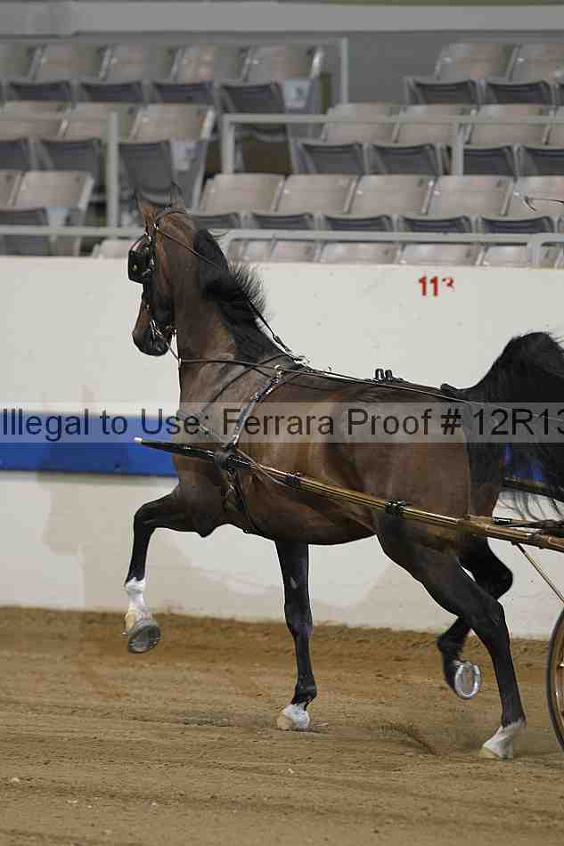 Proof 12r13_4396