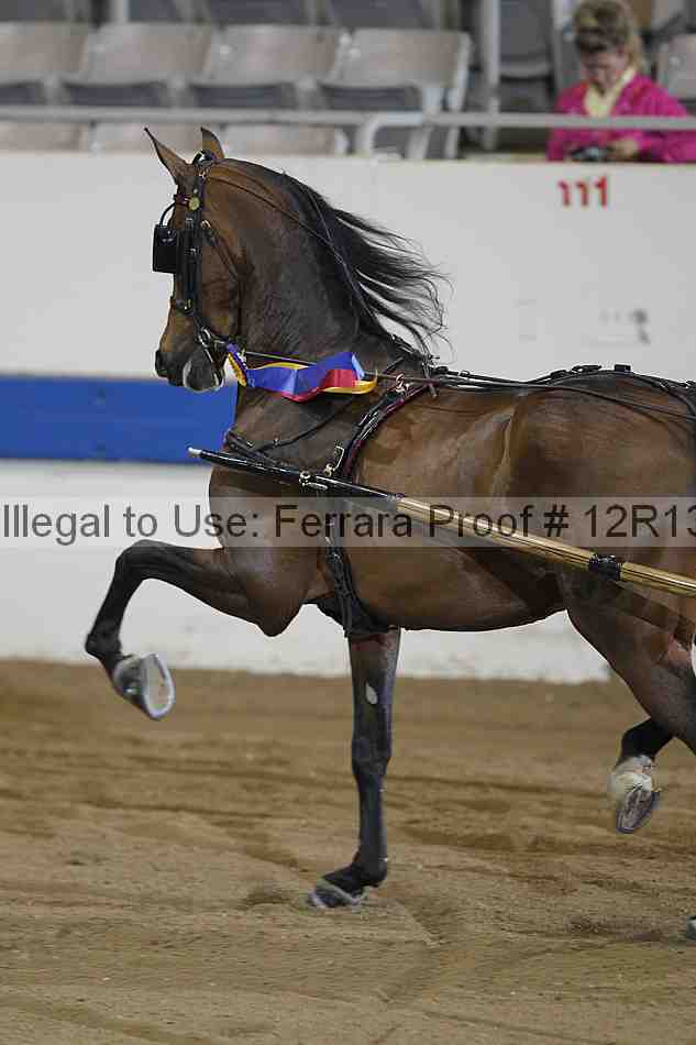 Proof 12r13_4403