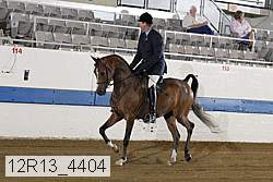 12r13_4404 proof