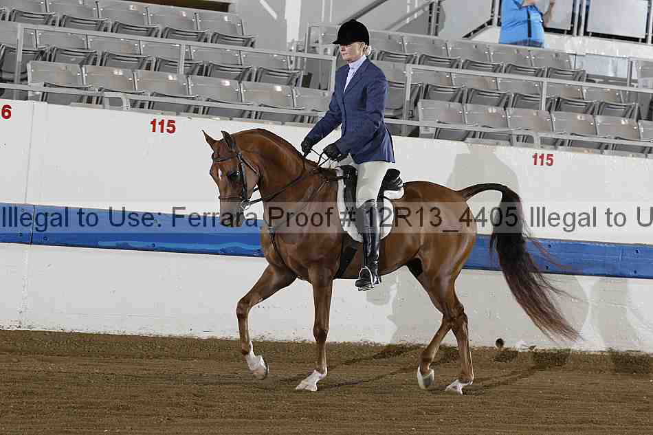 Proof 12r13_4405