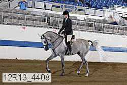 12r13_4408 proof