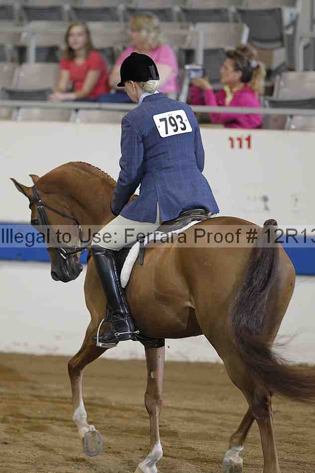 Proof 12r13_4409