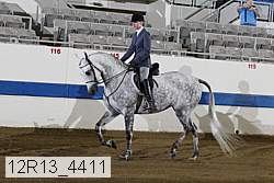 12r13_4411 proof