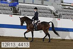 12r13_4413 proof