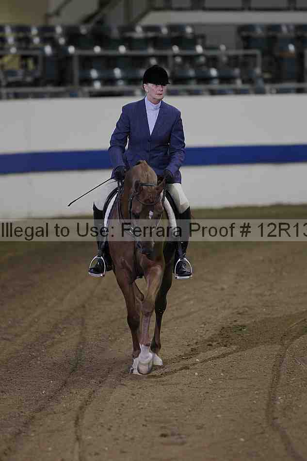 Proof 12r13_4417