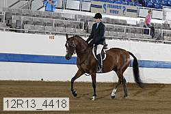 12r13_4418 proof