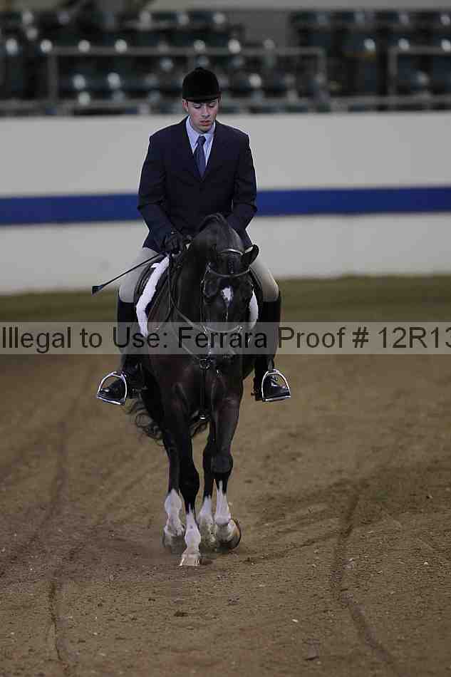Proof 12r13_4419