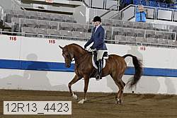 12r13_4423 proof