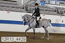 12r13_4429 proof