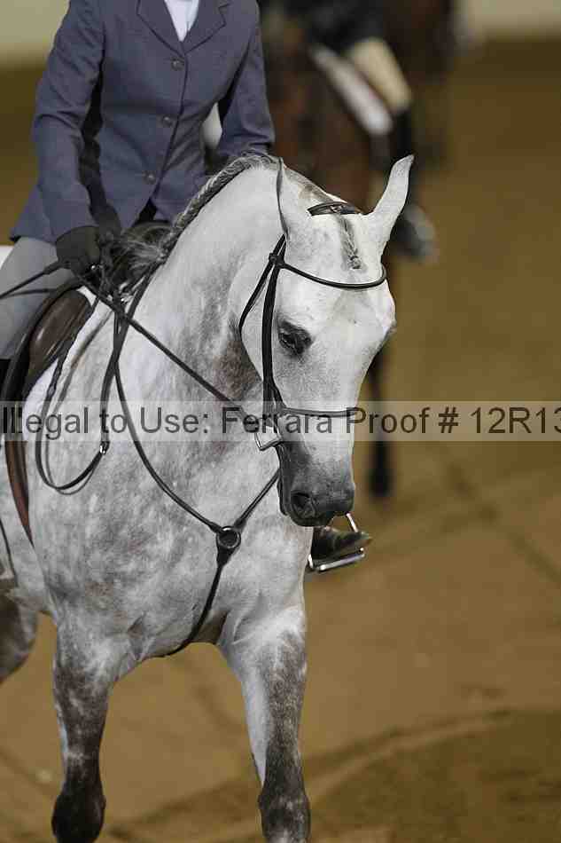 Proof 12r13_4430