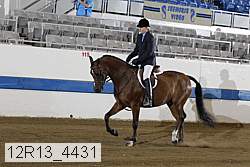 12r13_4431 proof