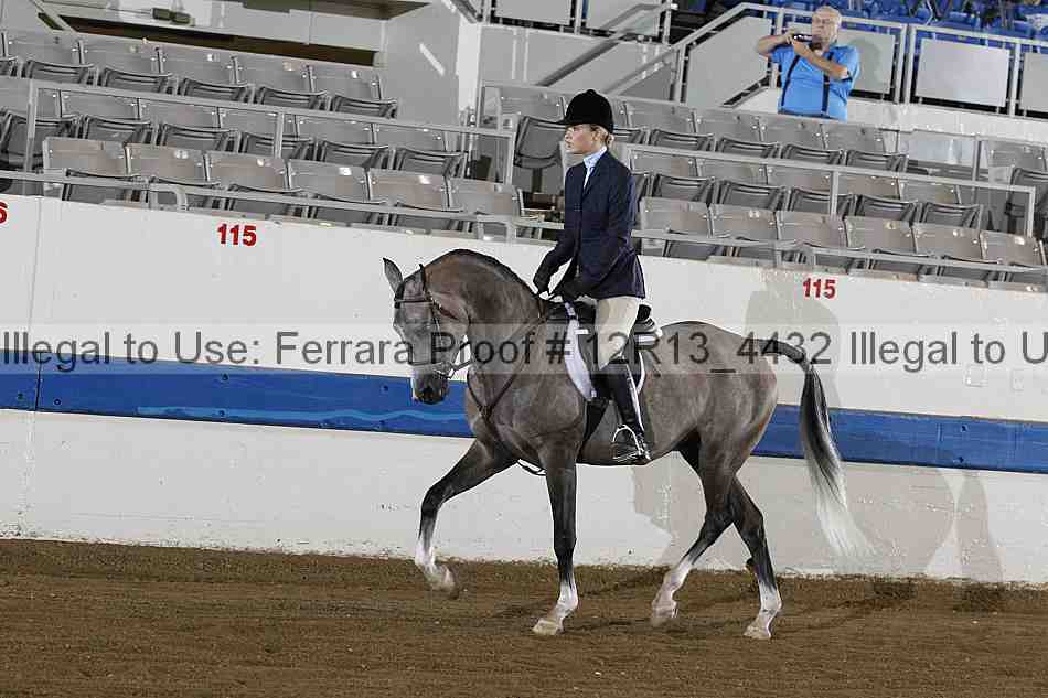 Proof 12r13_4432