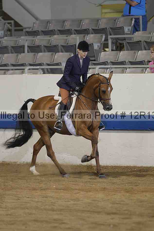 Proof 12r13_4449