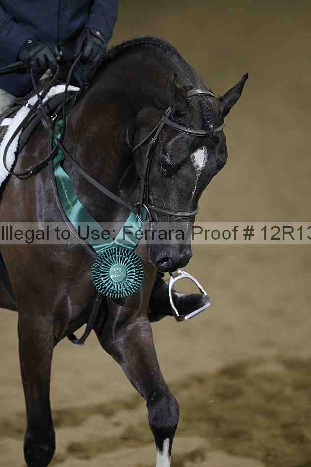 Proof 12r13_4467