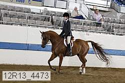 12r13_4473 proof