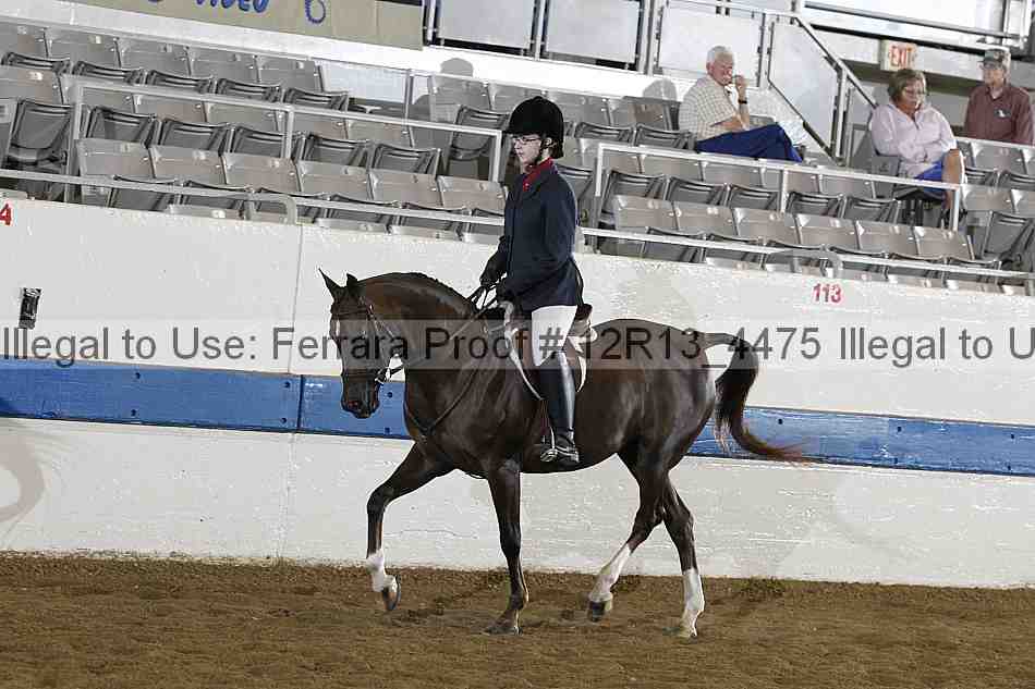 Proof 12r13_4475