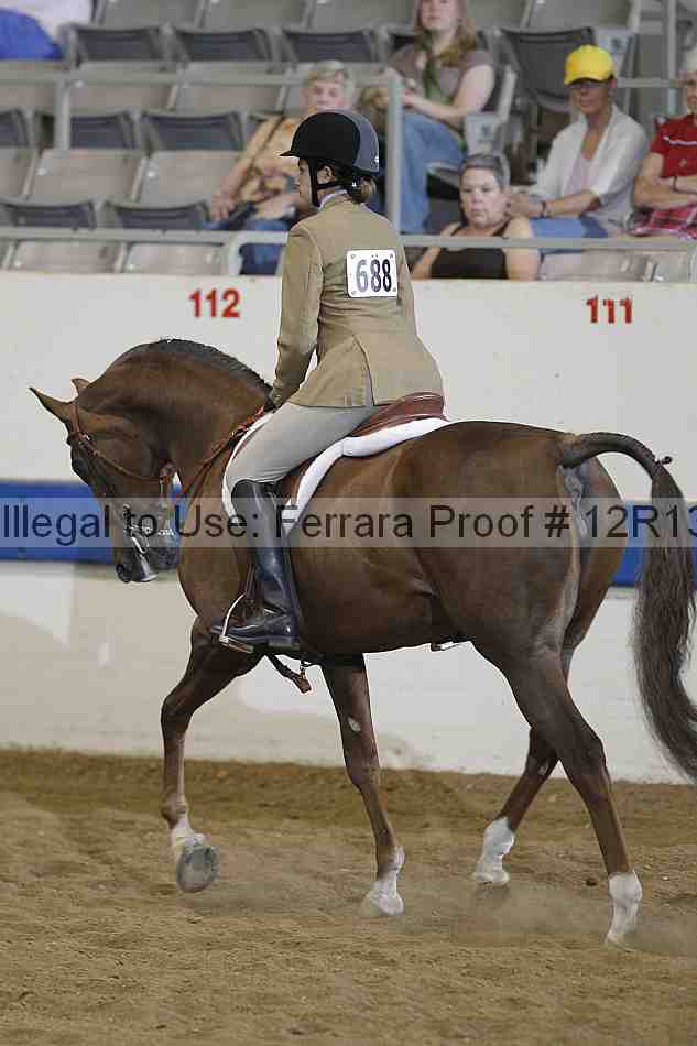 Proof 12r13_4478