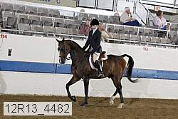 12r13_4482 proof
