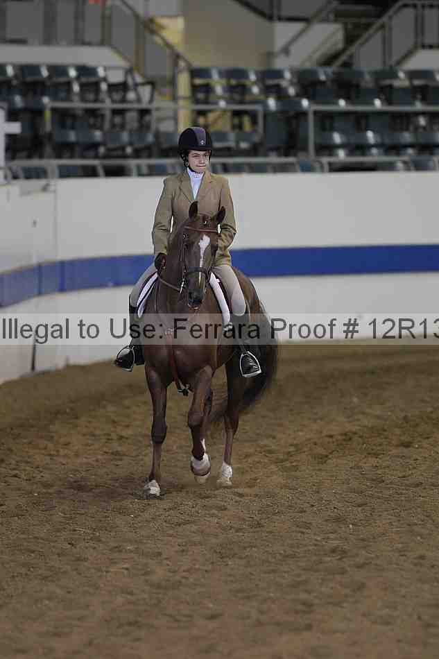 Proof 12r13_4485