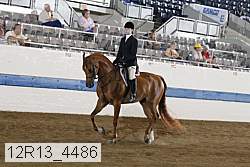 12r13_4486 proof