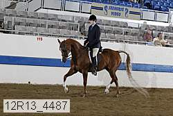 12r13_4487 proof