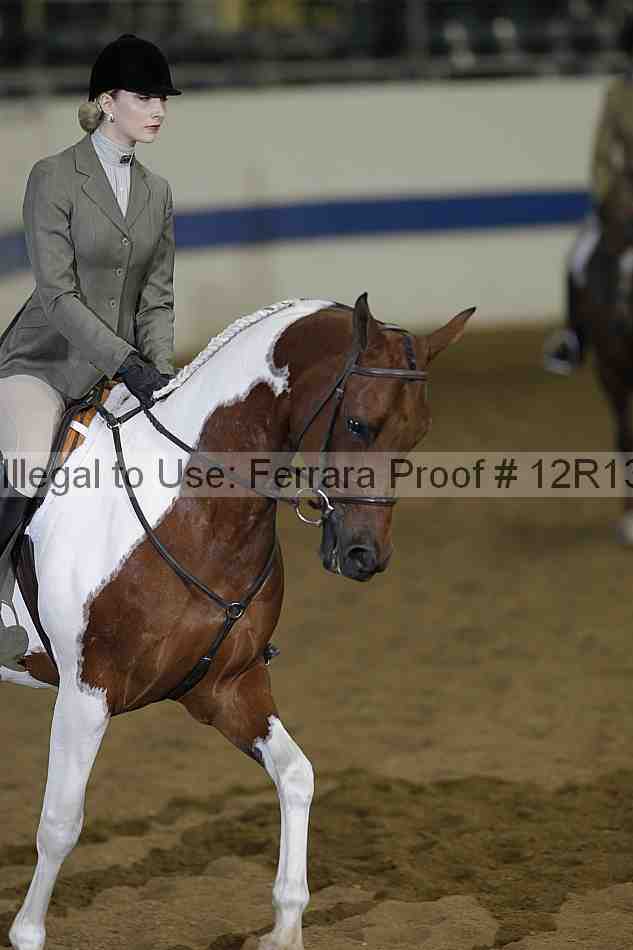 Proof 12r13_4495