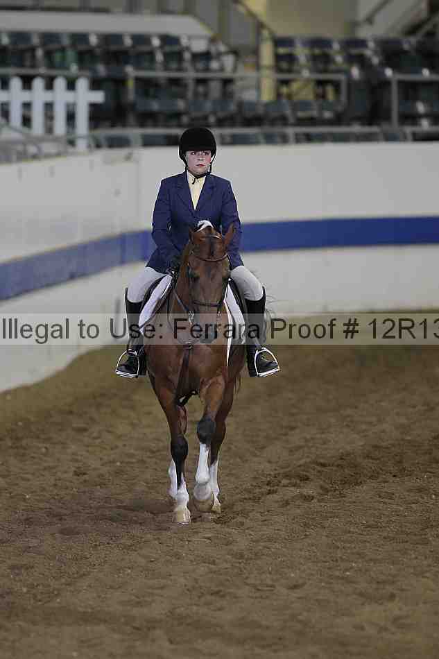 Proof 12r13_4496