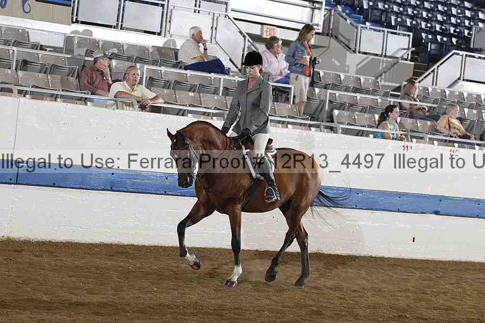 Proof 12r13_4497