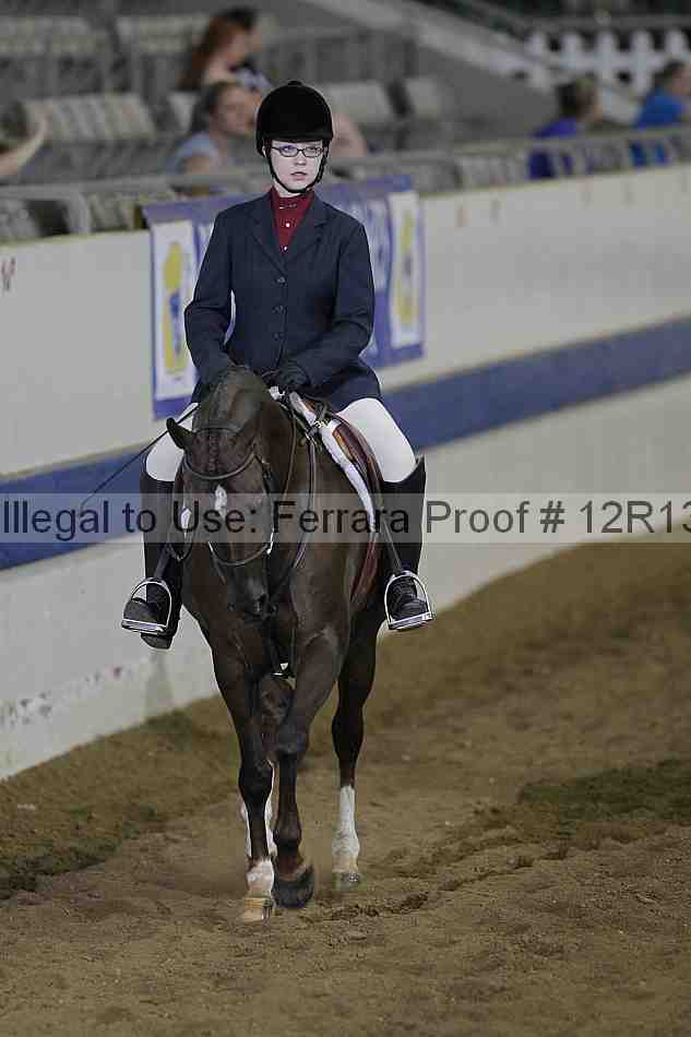 Proof 12r13_4501