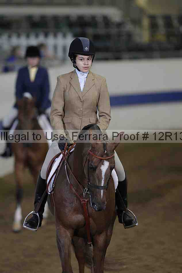 Proof 12r13_4511