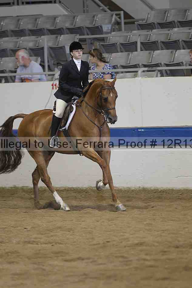 Proof 12r13_4515