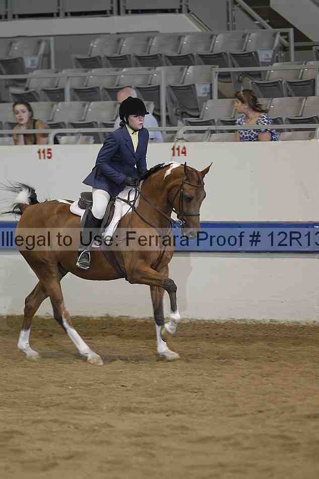 Proof 12r13_4517
