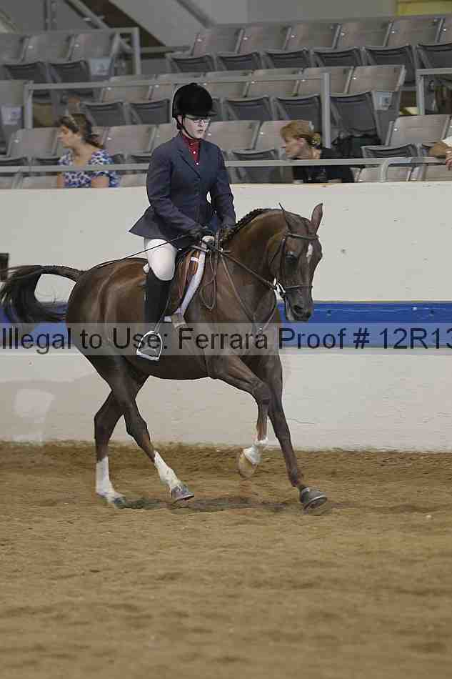 Proof 12r13_4519