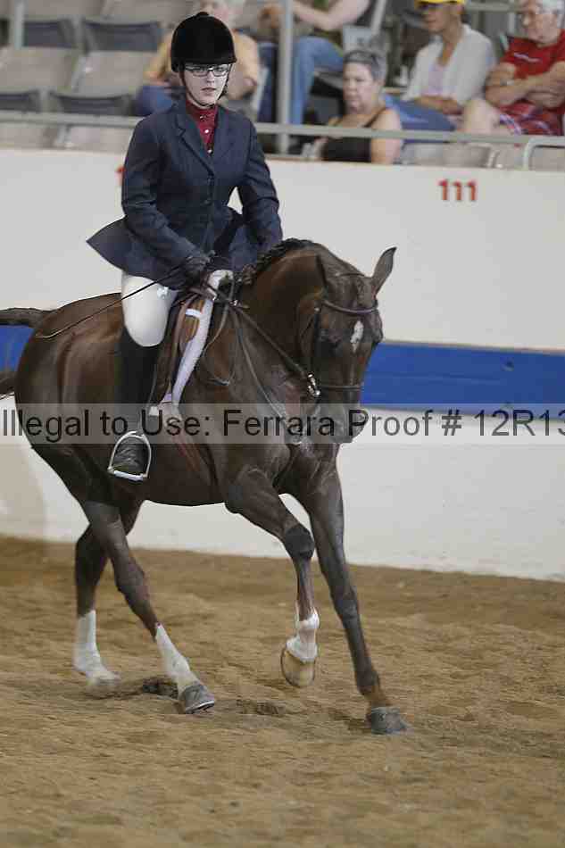 Proof 12r13_4520