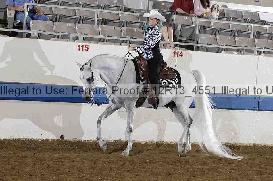 Proof 12r13_4551