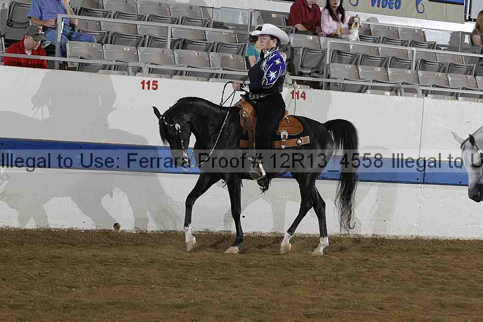 Proof 12r13_4558